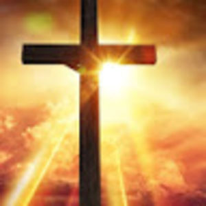 Meet your Posher, Dennisse